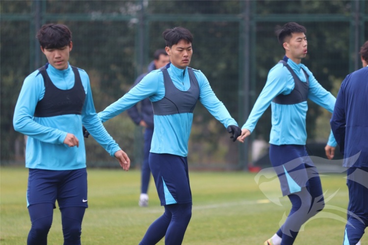 龙赛罗：莫德里奇成领袖，居莱尔押注是大错特错